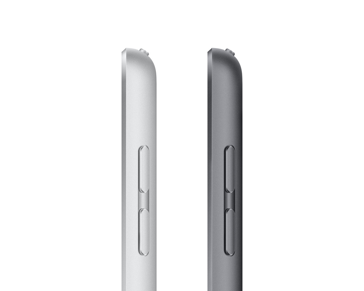 Apple iPad 10.2 (2021) Wifi 256 GB Rymdgrå