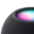 Apple HomePod Mini Rymdgrå