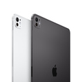 Apple iPad Pro 11 (2024) Wi-Fi 256GB med Standardglas - Rymdsvart