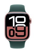 Apple Watch 42mm Blågrön Sportband M/L