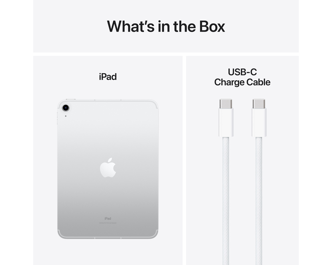 Apple iPad 10.9 Wifi + Cellular 256 GB Silver