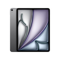 iPad Air 13 M3 Wi-Fi + Cellular 256GB - Rymdgrå