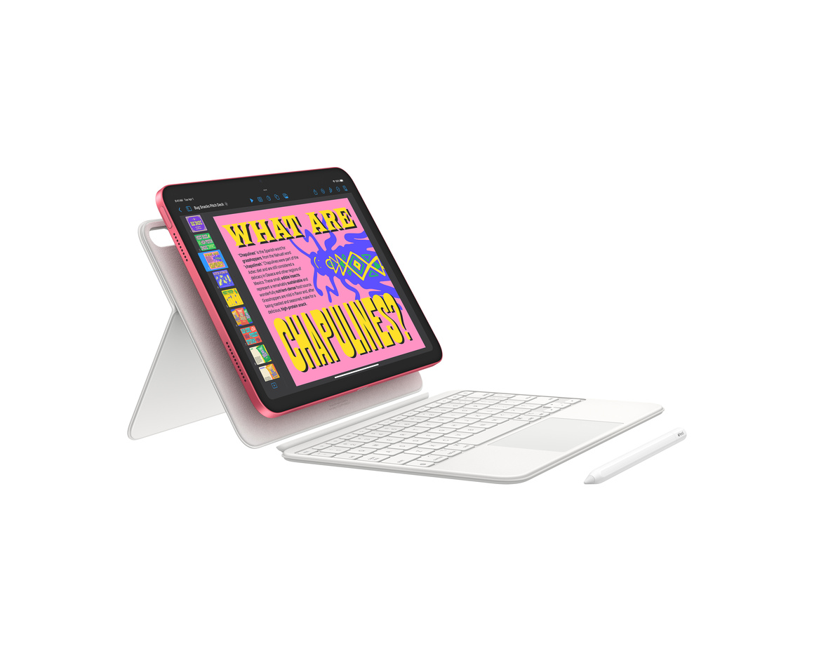 Apple iPad 11 (2025) Wi-Fi + Cellular 256GB - Rosa