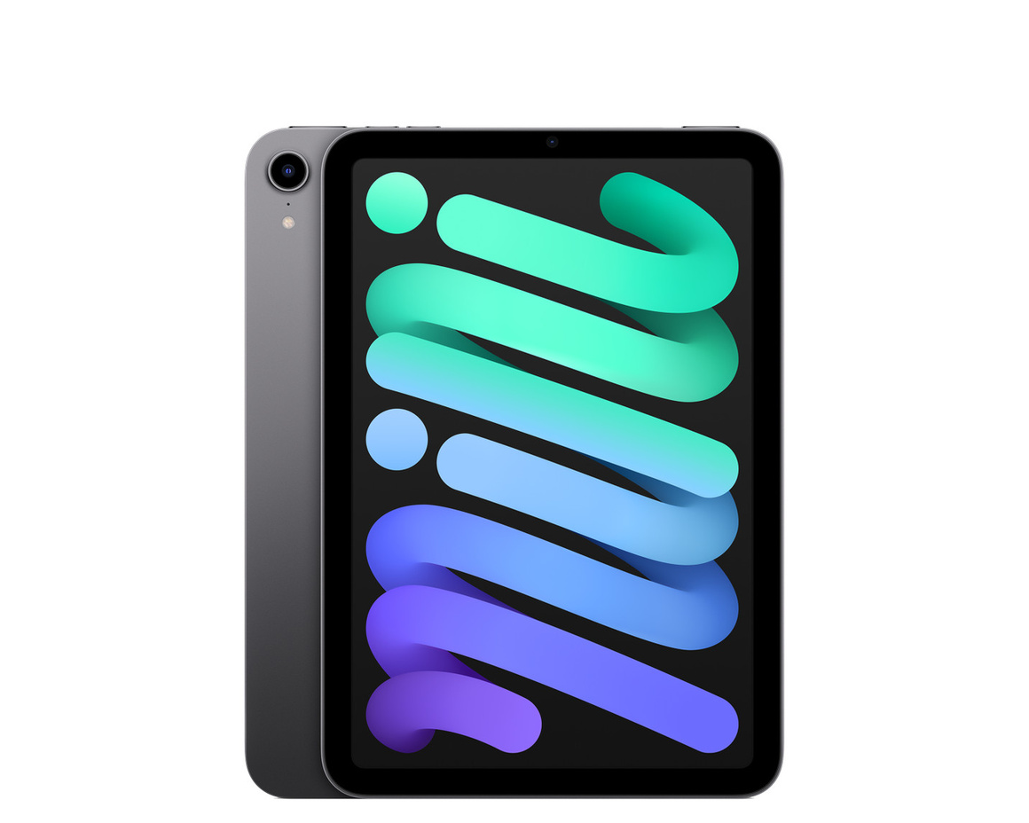 iPad mini (2021) Wi-Fi 64GB - Rymdgrå (begagnad) - Gradering A