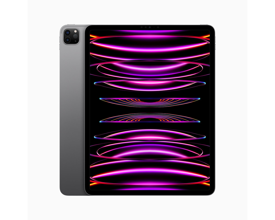 iPad Pro 11 (2012 Wi-Fi + Cellular 256GB - Rymdgrå (begagnad) - Gradering A