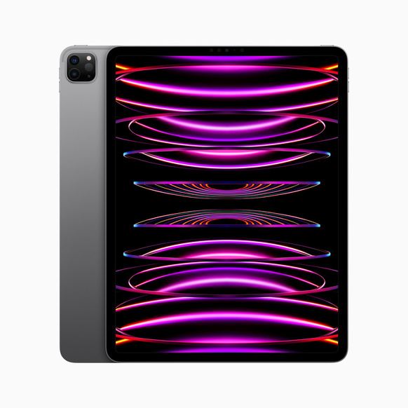 iPad Pro 11 (2012 Wi-Fi + Cellular 256GB - Rymdgrå (begagnad) - Gradering A