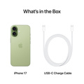 iPhone 17 Salvia 256 GB